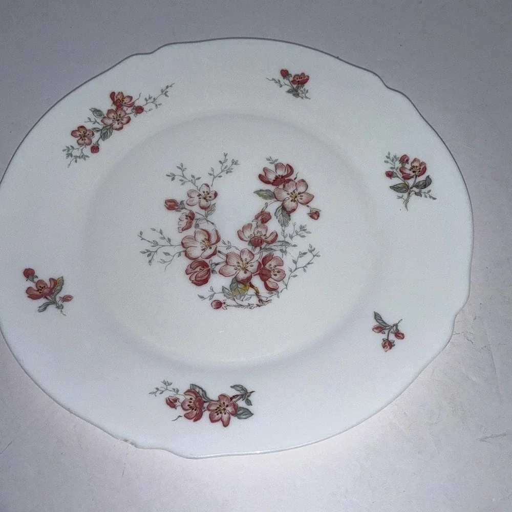 Lot 5 Vintage Arcopal France Florentine Cherry Blossom 10